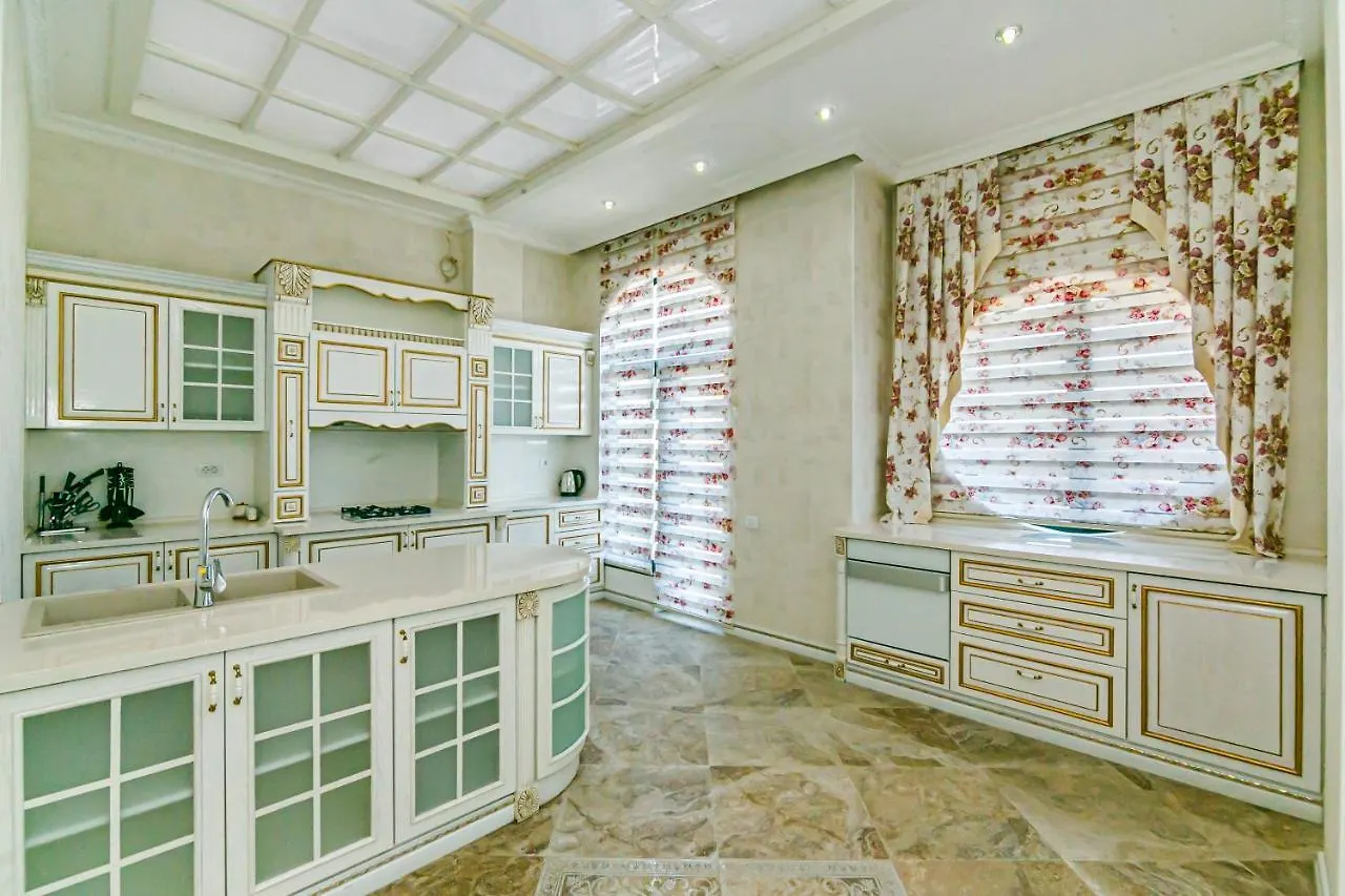 Vip Penthouse In Nizami Street Aparthotel Μπακού